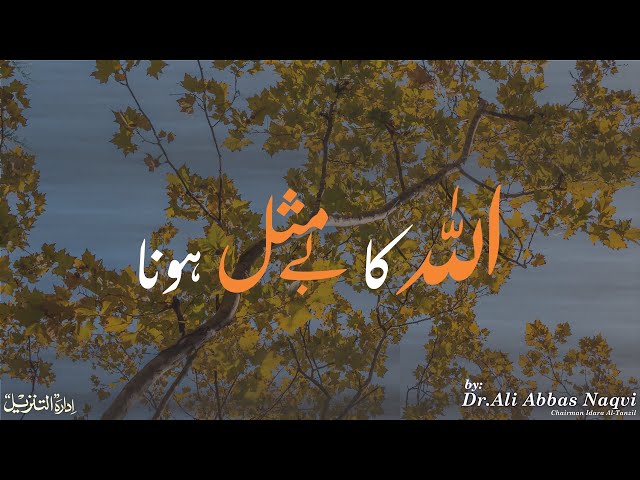 016 | Hifz e Mozoee (Har Roz Quran o Ahlebait(A.S)k Sath) I Allah Ka By Misaal Hona | Dr Ali Abbas Naqvi