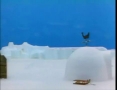 Kids Cartoon - PINGU - Pingu Goes Ice Surfing - All Languages