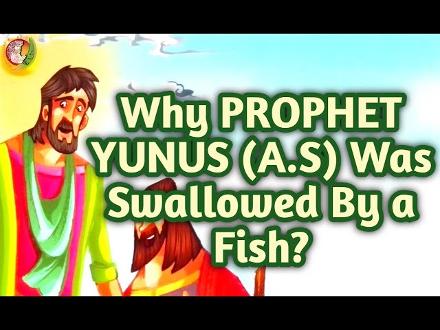 kids islamic stories || Prophet Yunus (AS) || Prophet Stories In English || muslim || kaz school ||
