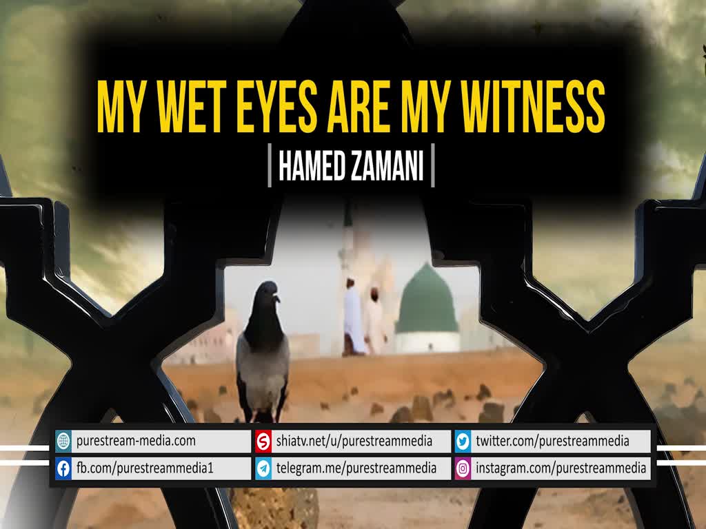 My Wet Eyes Are My Witness | Hamed Zamani | Farsi sub English
