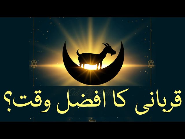 🎦  عید قربان 3 | قربانی کرنے کا سب سے افضل وقت کونسا ہے؟ - Urdu