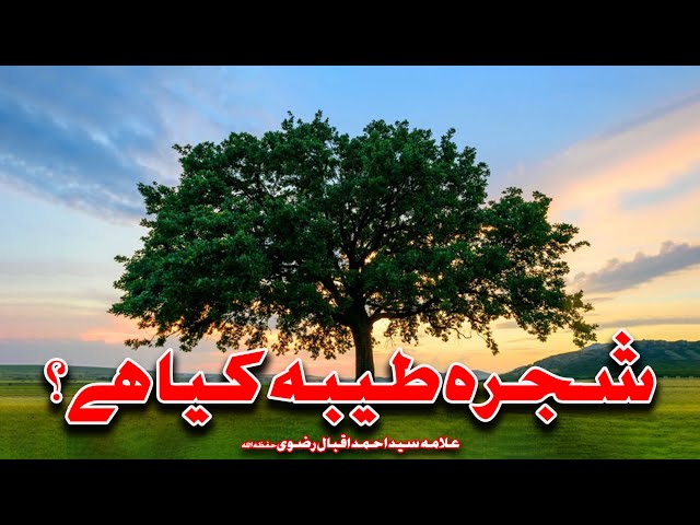 Shajra e Tayyaba kya hai? | Allama Syed Ahmed Iqbal Rizvi | Urdu