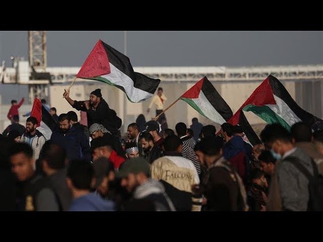 [26 January 2019] Israel cracks down on Gaza peaceful protests - English